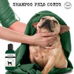 Shampoo Pelo Corto 7 Shampoo Pelo Corto -Diegodallapalma Negozio 1500x1500px2 e9b14ed7 4fac 4396 b63c 4bcba1f7c156
