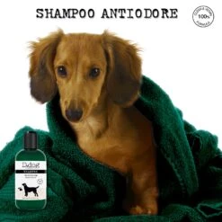 Shampoo Antiodore 11 Shampoo Antiodore -Diegodallapalma Negozio 1500x1500px6 95530b53 c5f7 4284 ab88 e7329321135a