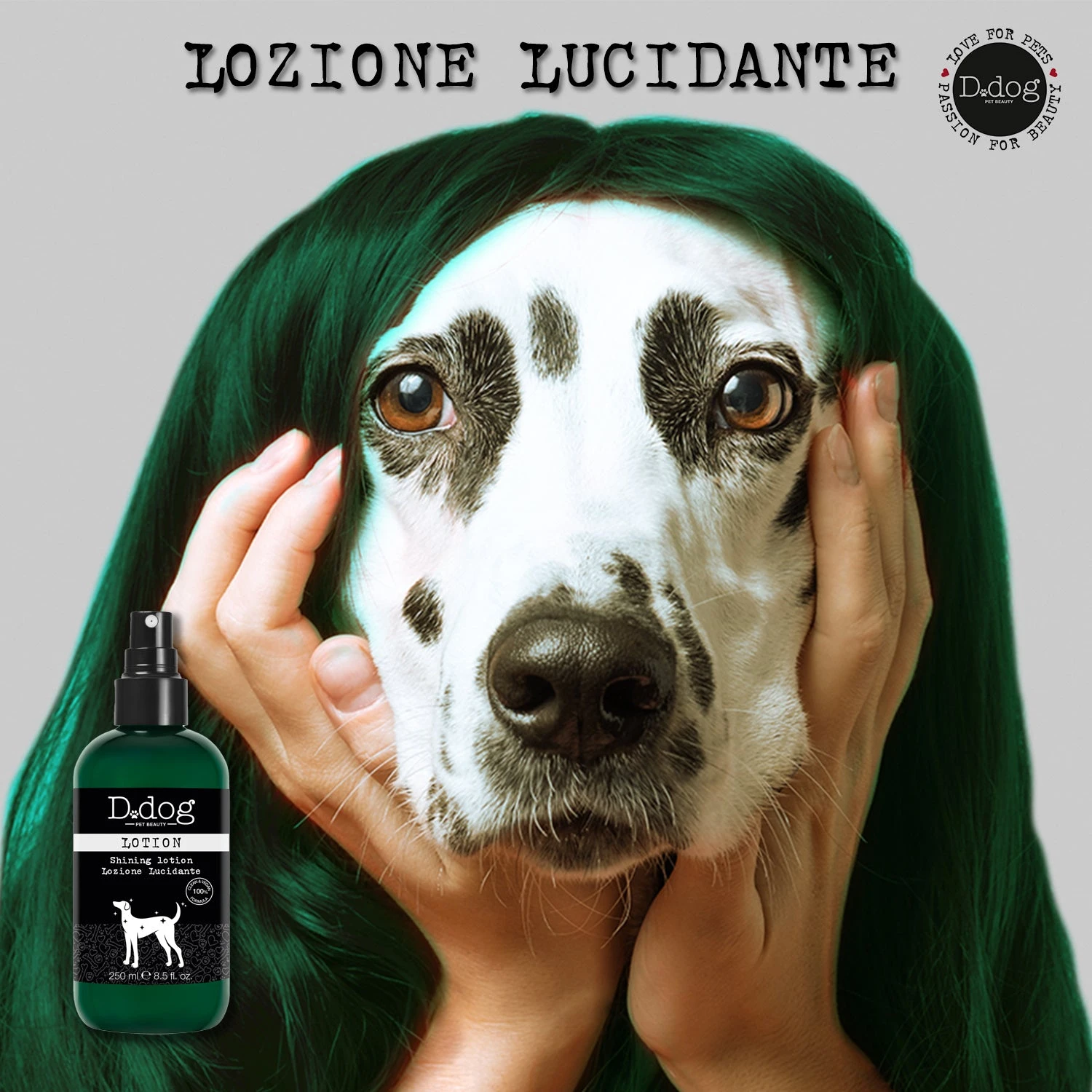 Lozione Lucidante 4 Lozione Lucidante - immagine 4