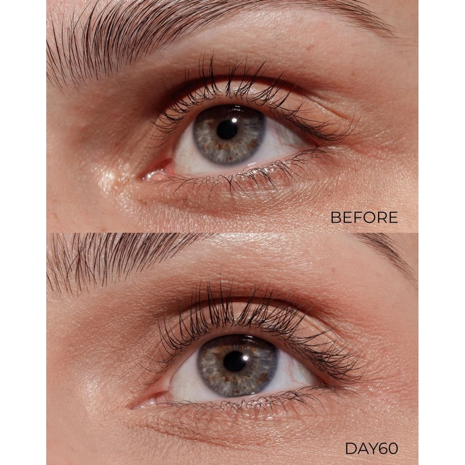 Iron Lash & Brow 5in1 - Siero Ciglia E Sopracciglia 5in1 7 Iron Lash & Brow 5in1 - Siero Ciglia E Sopracciglia 5in1 - immagine 7