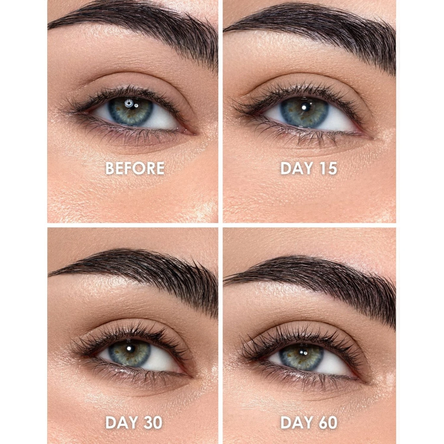 Iron Lash & Brow 5in1 - Siero Ciglia E Sopracciglia 5in1 6 Iron Lash & Brow 5in1 - Siero Ciglia E Sopracciglia 5in1 - immagine 6