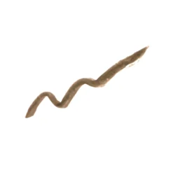 DELINEATORE SOPRACCIGLIA IN CREMA RESISTENTE ALL'ACQUA 18 DELINEATORE SOPRACCIGLIA IN CREMA RESISTENTE ALL'ACQUA -Diegodallapalma Negozio DF120002 2 DELINEATORESOPRACCIGLIAINCREMA