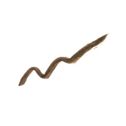 DELINEATORE SOPRACCIGLIA IN CREMA RESISTENTE ALL'ACQUA 21 DELINEATORE SOPRACCIGLIA IN CREMA RESISTENTE ALL'ACQUA -Diegodallapalma Negozio DF120003 2 DELINEATORESOPRACCIGLIAINCREMA