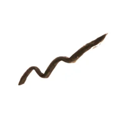 DELINEATORE SOPRACCIGLIA IN CREMA RESISTENTE ALL'ACQUA 24 DELINEATORE SOPRACCIGLIA IN CREMA RESISTENTE ALL'ACQUA -Diegodallapalma Negozio DF120004 2 DELINEATORESOPRACCIGLIAINCREMA